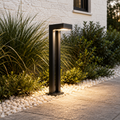 Solar Pathway Light